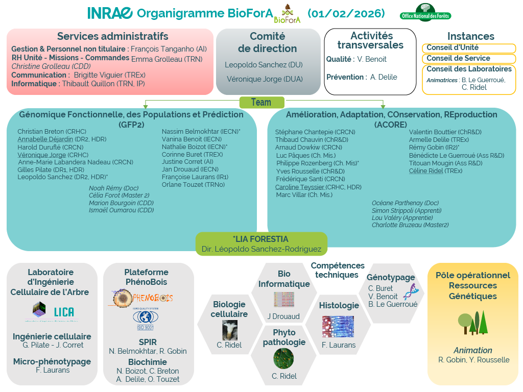 Organigramme-BioForA