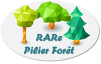 Logo-RARE