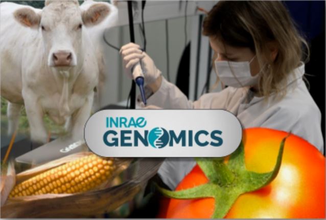 1er-Colloque-INRAE-Genomiques